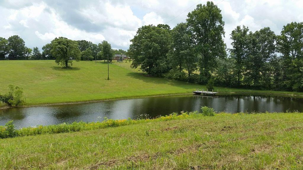 7686 Barnhill Road Primm Springs, TN 38476 - Photo 8 of 8 Gallery Image 8