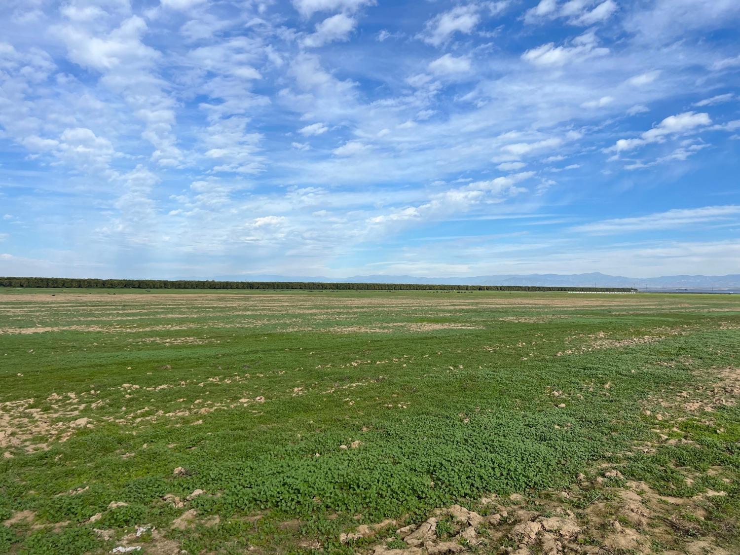 32717 Kimberlina Road Bakersfield, CA 93308 - Photo 11 of 19 a view of yard with ocean view