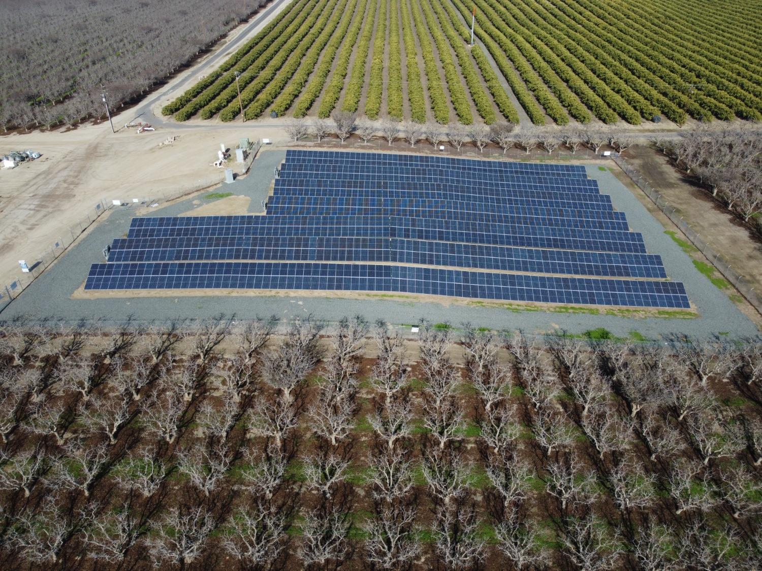 32717 Kimberlina Road Bakersfield, CA 93308 - Photo 3 of 19 a view of a backyard
