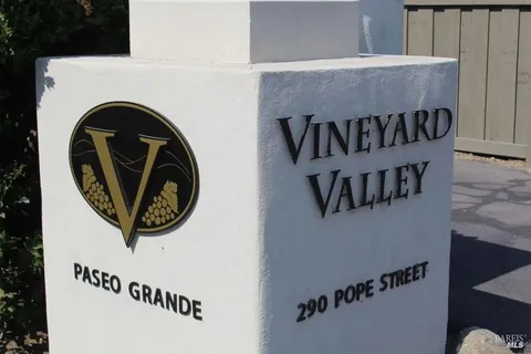 a backyard of a house with lots of green space and fountain