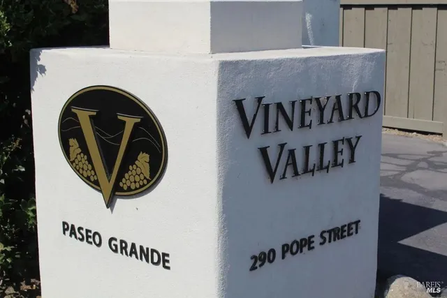 a backyard of a house with lots of green space and fountain