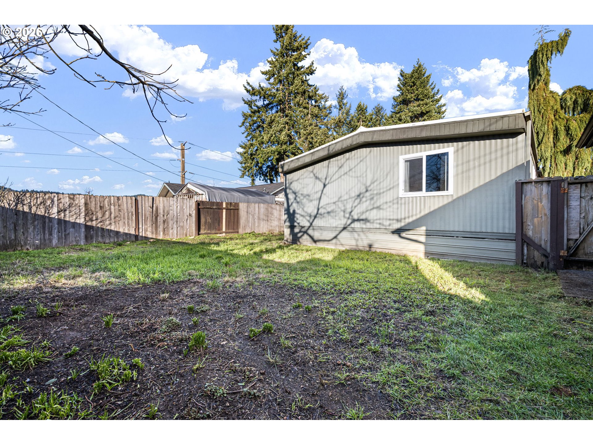 708 North 51st Street Springfield, OR 97478 - Photo 30 of 32 Backyard