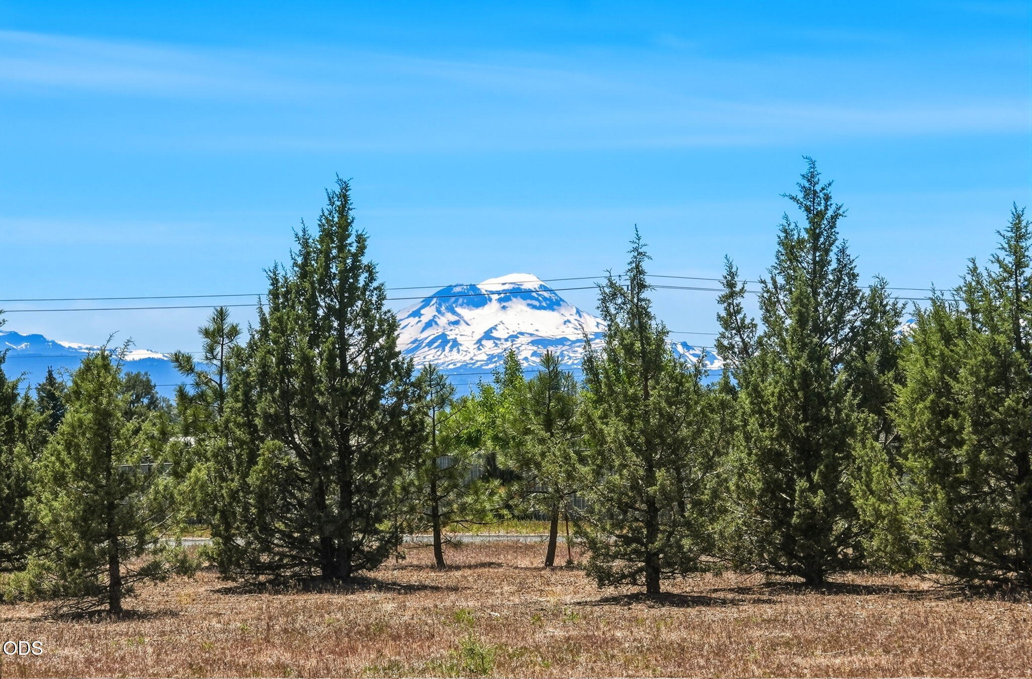 67292 Rabbit Brush Way Bend, OR 97703 - Photo 4 of 54