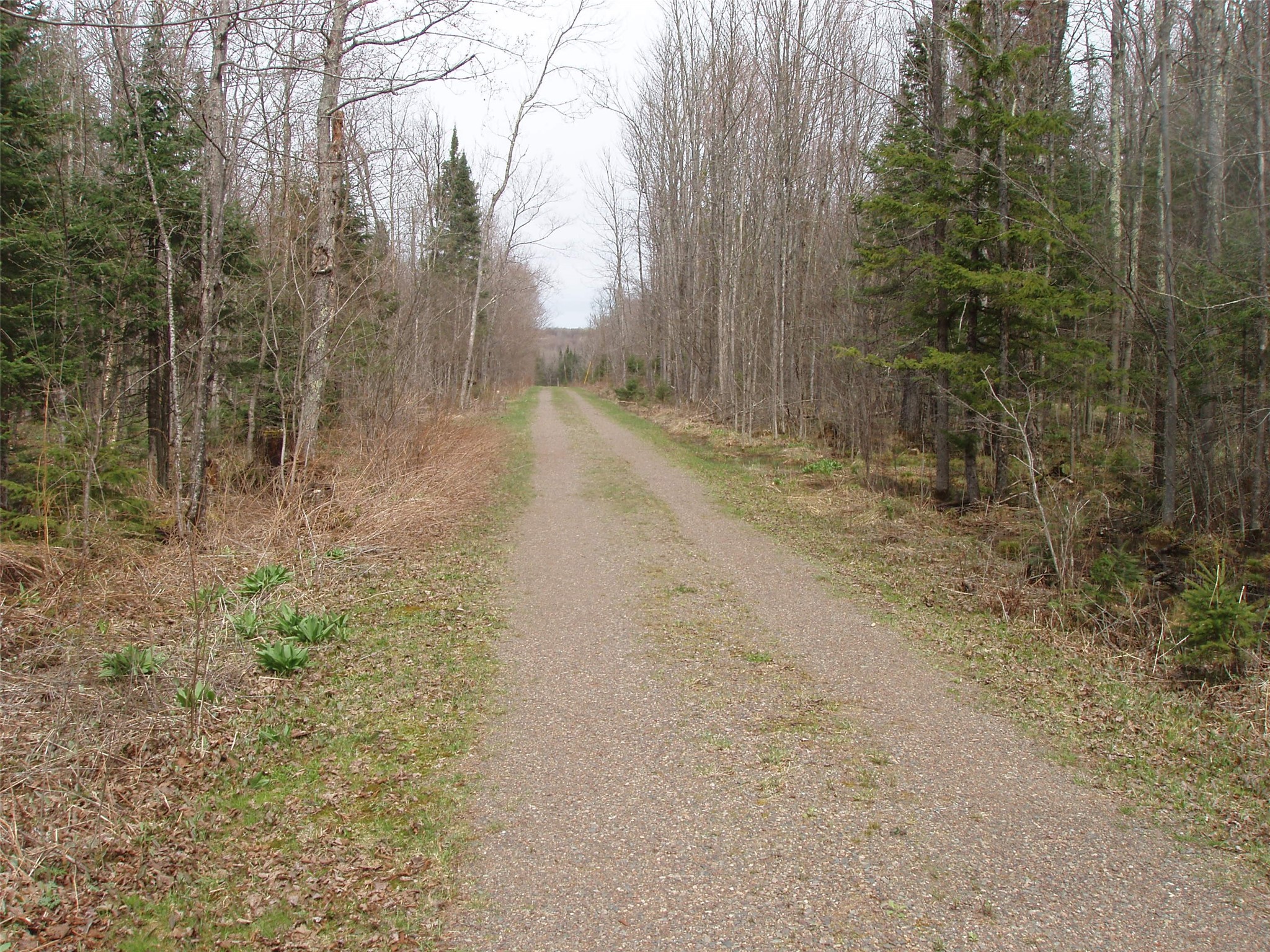 W9798 Fleming Road Park Falls, WI 54552 - Photo 11 of 60