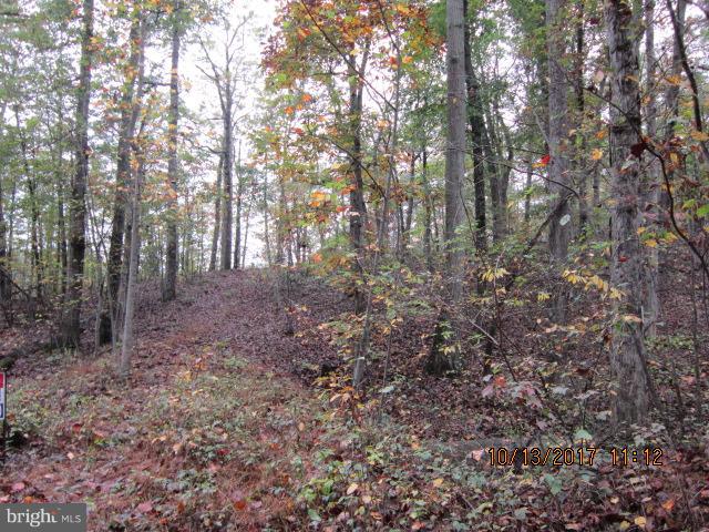 8 Seneca Road Hedgesville, WV 25427 - Photo 2 of 9 Driveway cut in