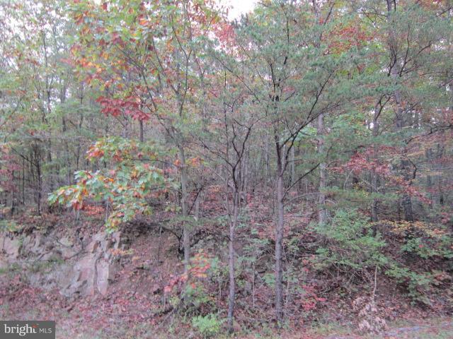 8 Seneca Road Hedgesville, WV 25427 - Photo 4 of 9 Exterior (General)
