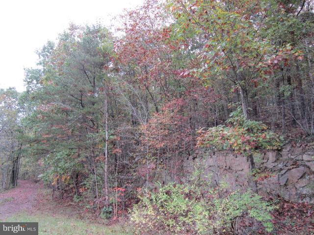 8 Seneca Road Hedgesville, WV 25427 - Photo 5 of 9 front of lot by lake