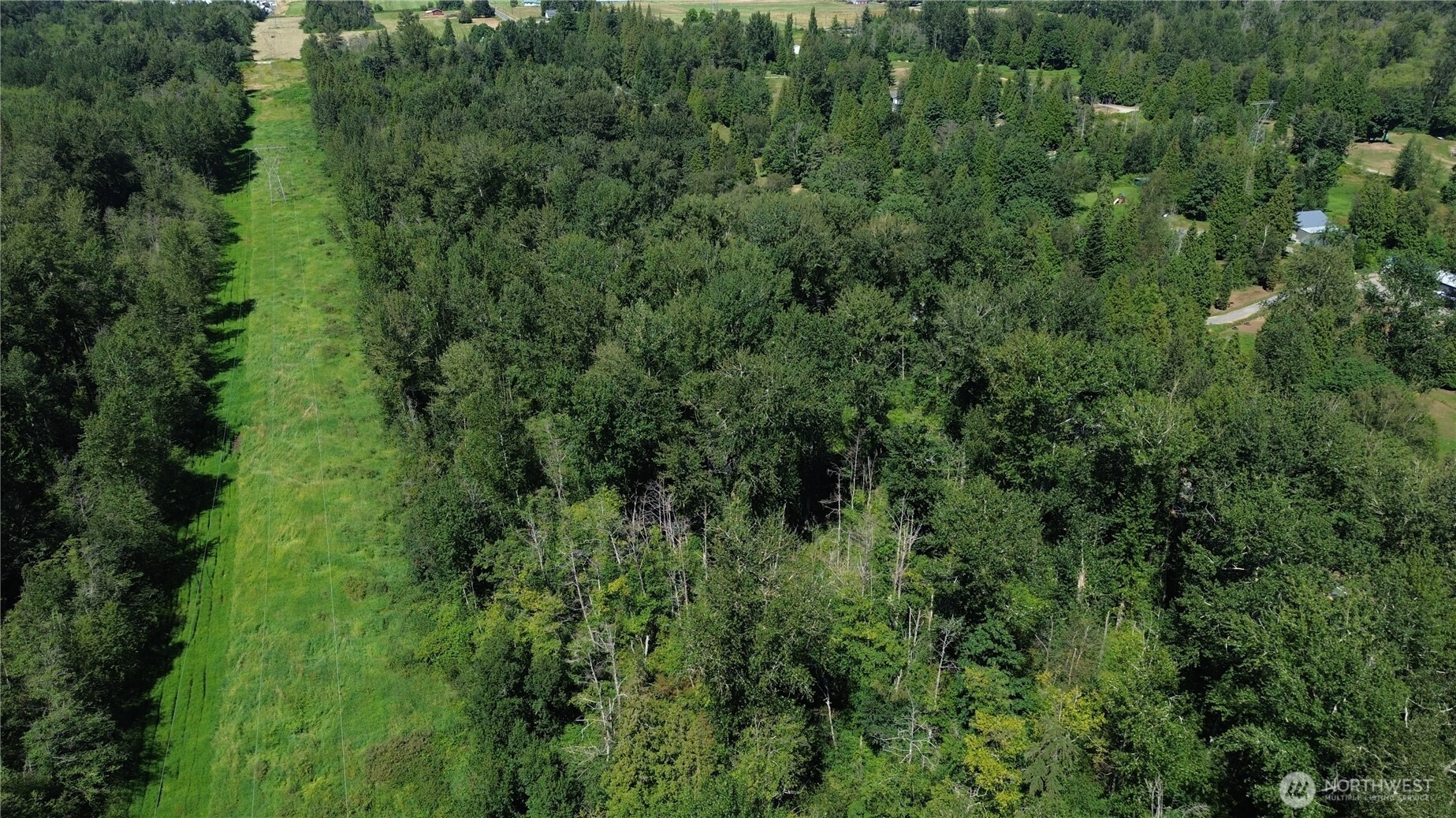 6501 Kickerville Road Ferndale, WA 98248 - Photo 2 of 5 an aerial view of a forest with houses