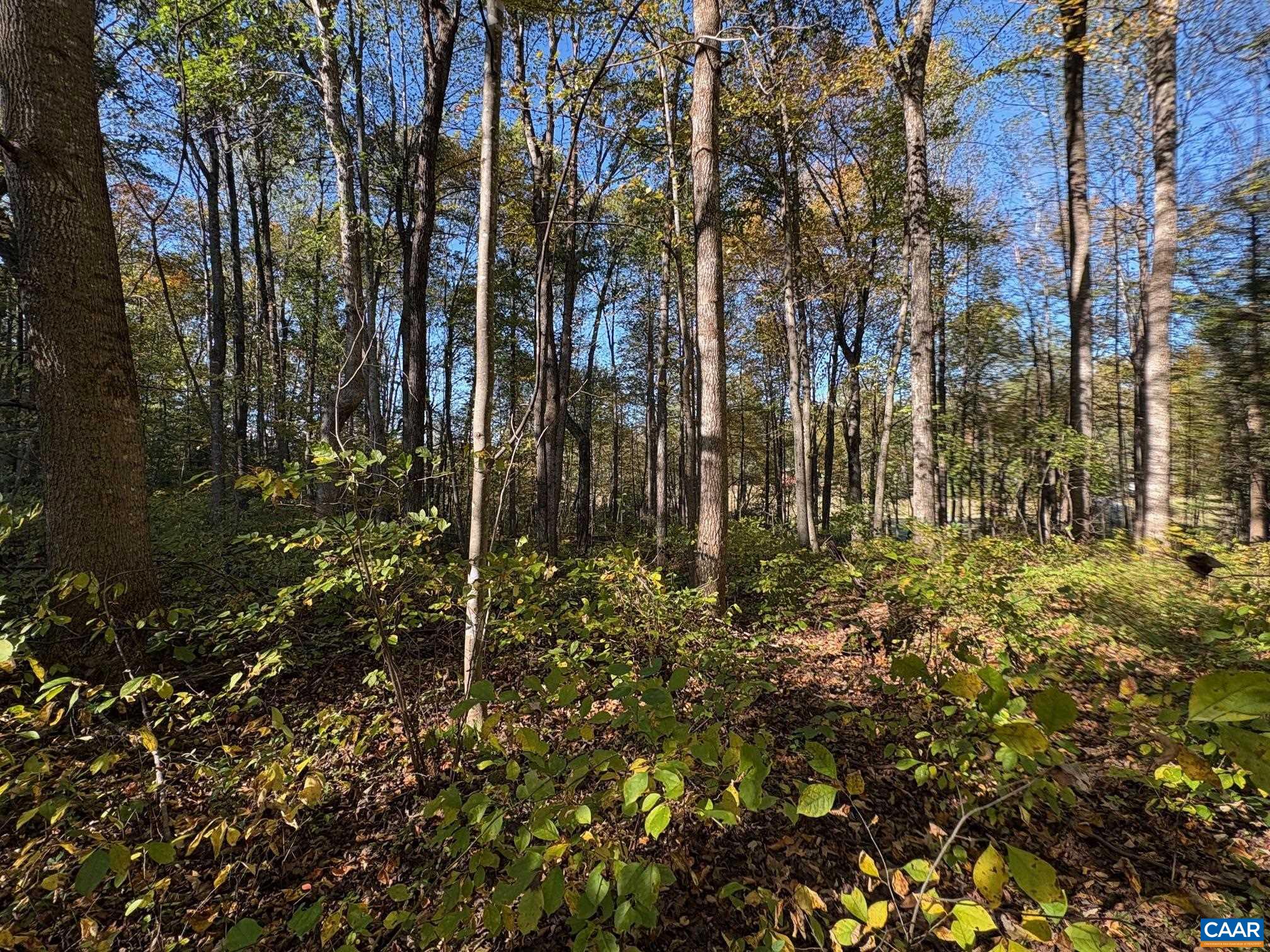 Lot E Hoover Road West Reva, VA 22735 - Photo 6 of 9 7.258 ac hardwood