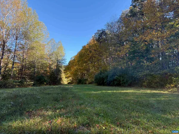 a view of a grassy field with trees