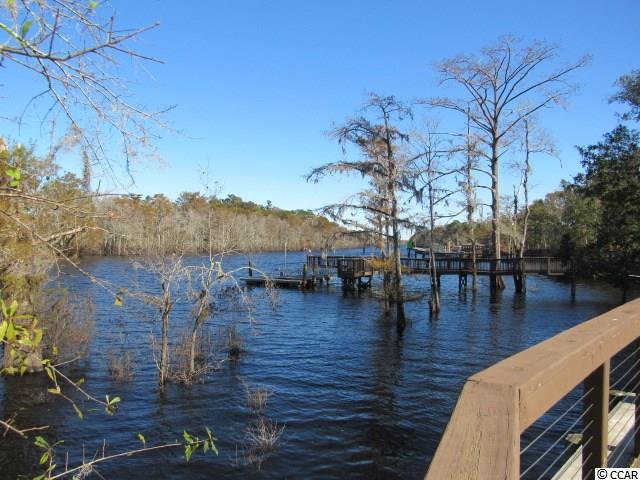 316 Chamberlin Road Myrtle Beach, SC 29588 - Photo 11 of 22 Gallery Image 11