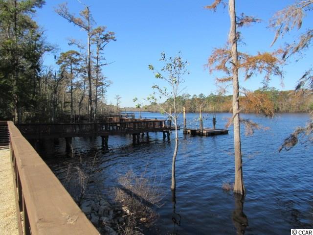 316 Chamberlin Road Myrtle Beach, SC 29588 - Photo 12 of 22 Gallery Image 12