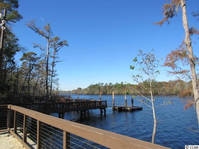 316 Chamberlin Road Myrtle Beach, SC 29588 - Photo 13 of 22 Gallery Image 13