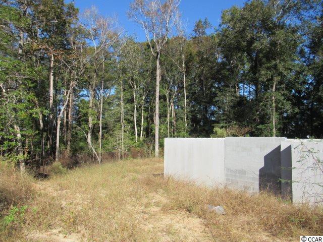 316 Chamberlin Road Myrtle Beach, SC 29588 - Photo 3 of 22 Gallery Image 3