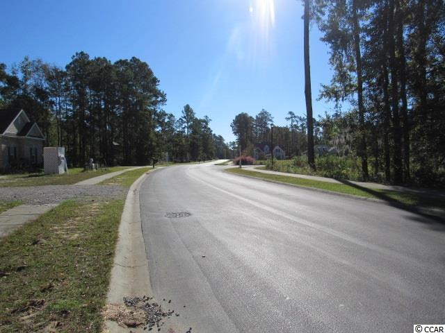 316 Chamberlin Road Myrtle Beach, SC 29588 - Photo 8 of 22 Gallery Image 8