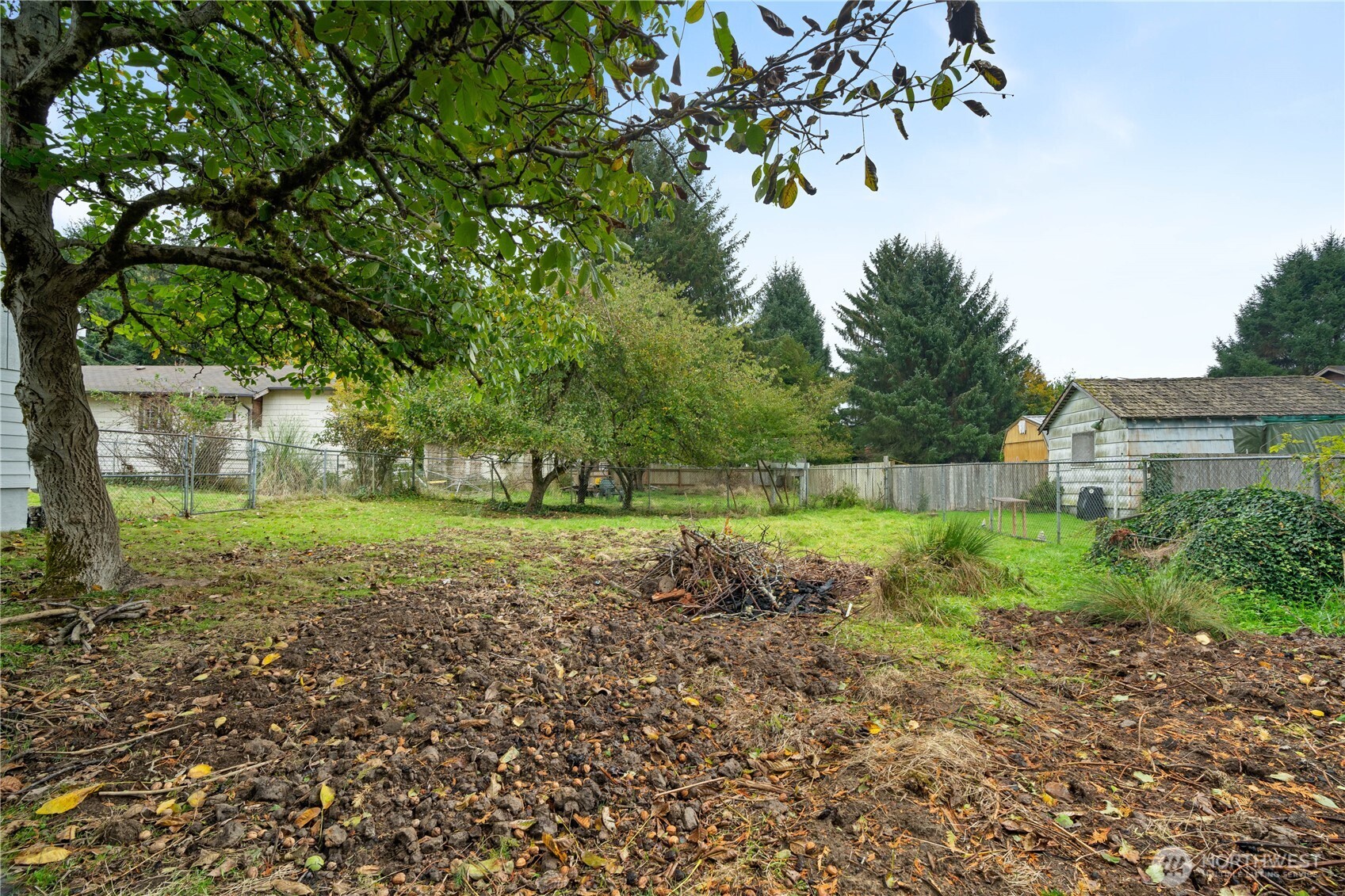 330 Wheeler Avenue Hoquiam, WA 98550 - Photo 24 of 34 a view of backyard with large trees
