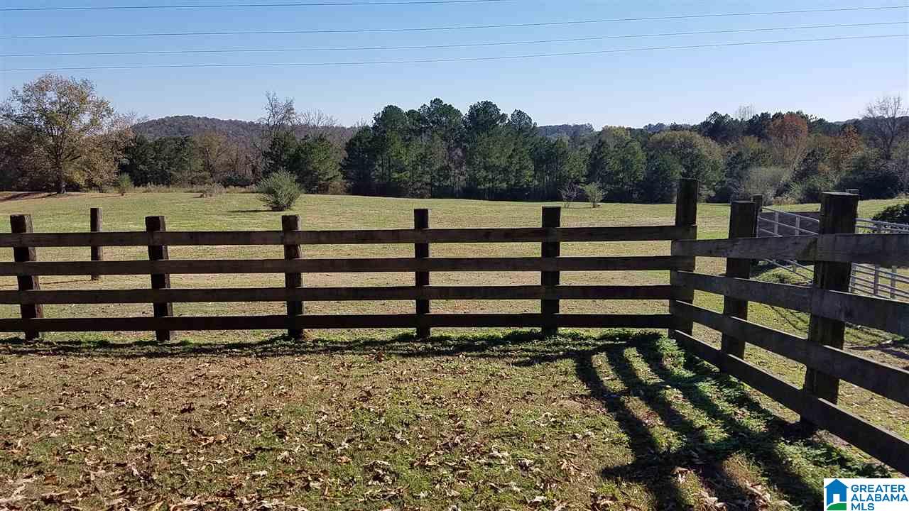 298 Bowerman Road Blountsville, AL 35031 - Photo 10 of 30