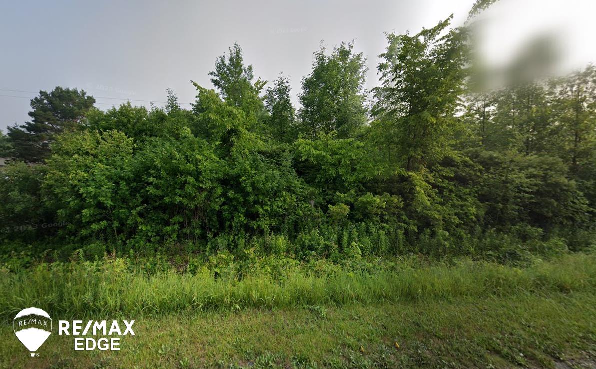 0 East Wilson Road Clio, MI 48420 - Photo 1 of 2