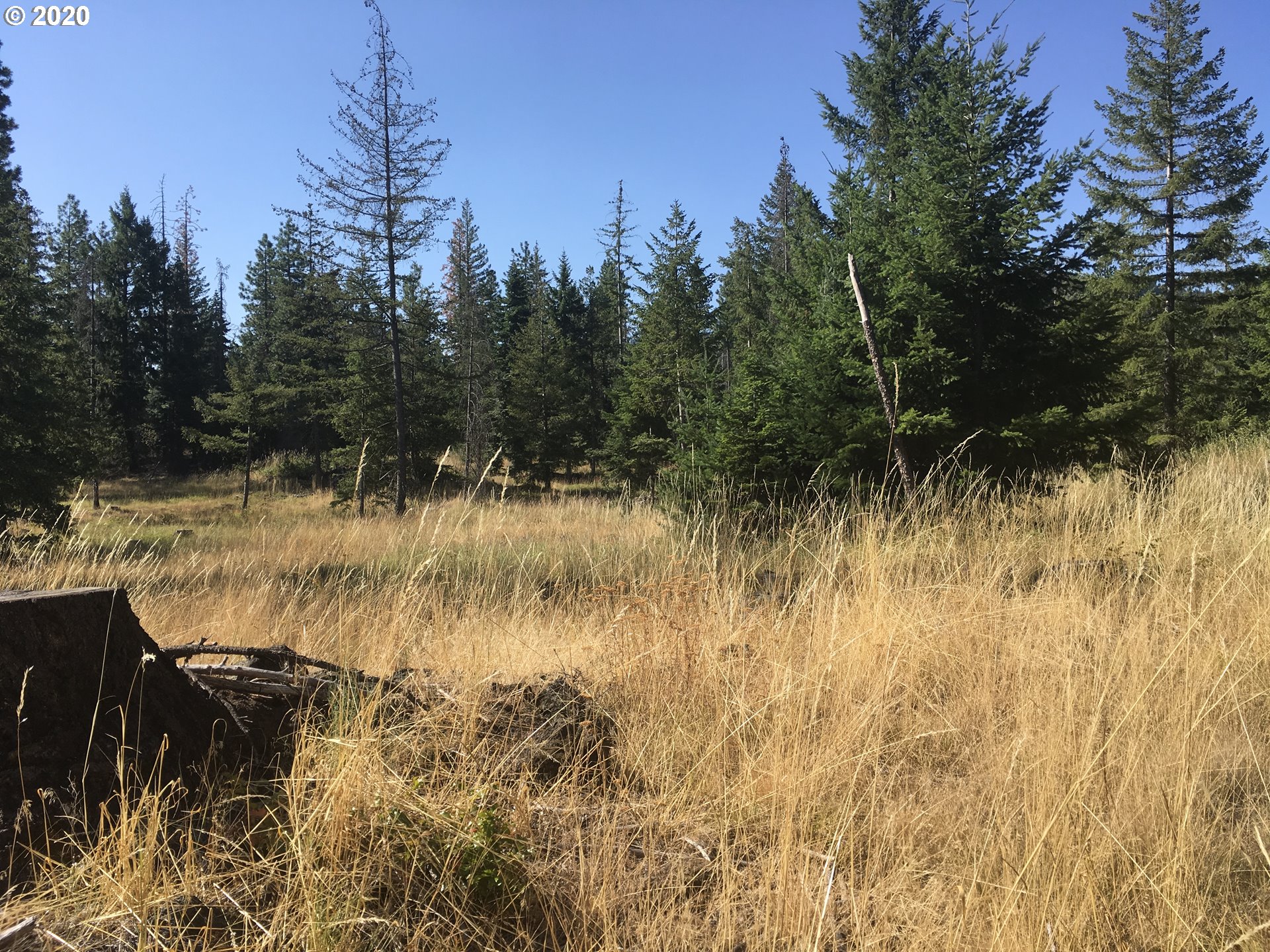 24 Lava Road Trout Lake, WA 98650 - Photo 1 of 18 Gallery Image 1
