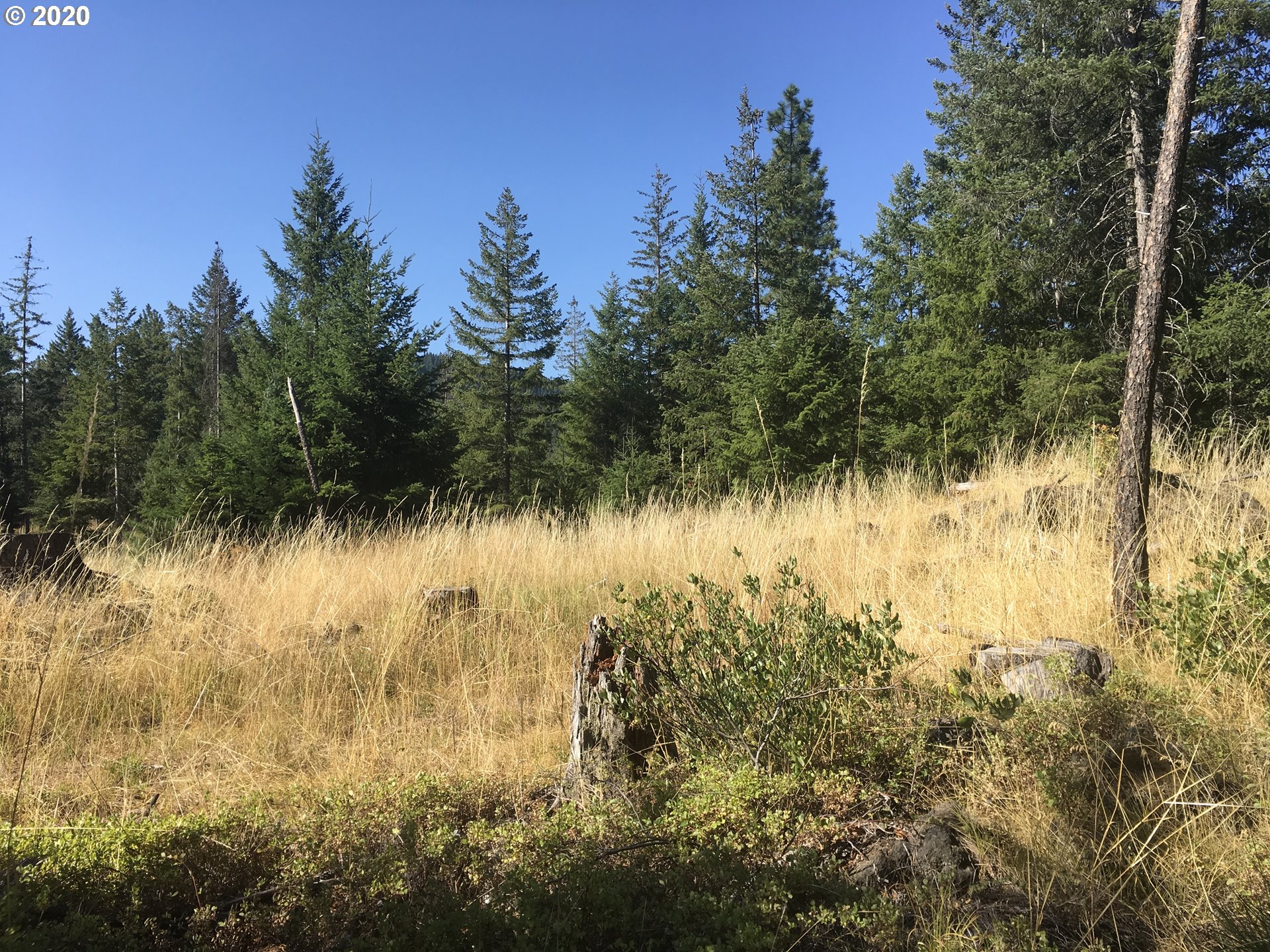 24 Lava Road Trout Lake, WA 98650 - Photo 2 of 18 Gallery Image 2