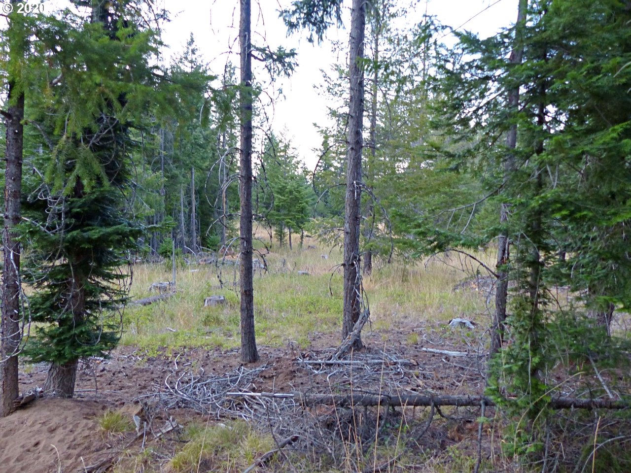24 Lava Road Trout Lake, WA 98650 - Photo 11 of 18 Gallery Image 11
