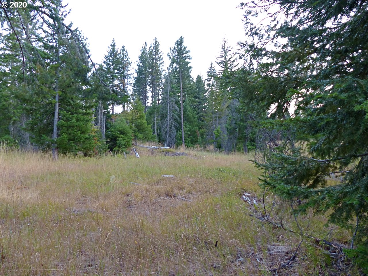 24 Lava Road Trout Lake, WA 98650 - Photo 12 of 18 Gallery Image 12