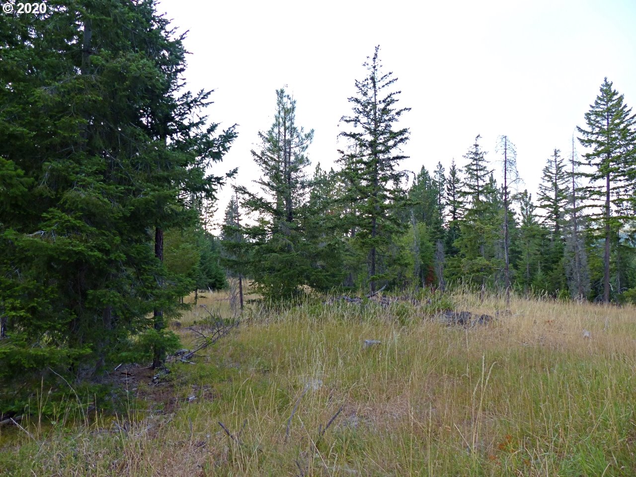 24 Lava Road Trout Lake, WA 98650 - Photo 13 of 18 Gallery Image 13