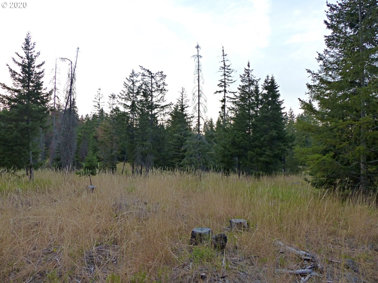 24 Lava Road Trout Lake, WA 98650 - Photo 14 of 18 Gallery Image 14