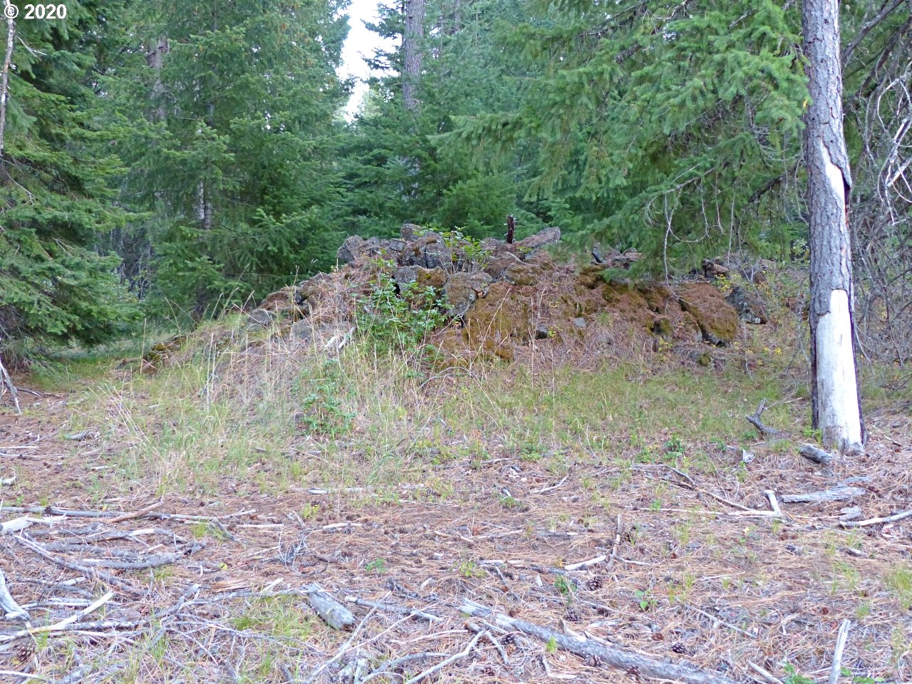 24 Lava Road Trout Lake, WA 98650 - Photo 15 of 18 Gallery Image 15
