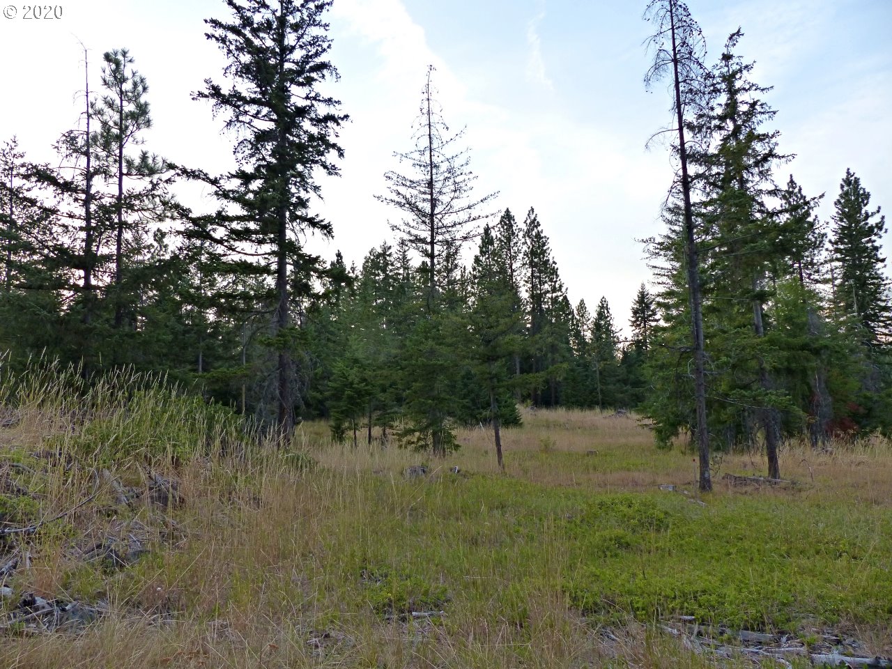 24 Lava Road Trout Lake, WA 98650 - Photo 17 of 18 Gallery Image 17