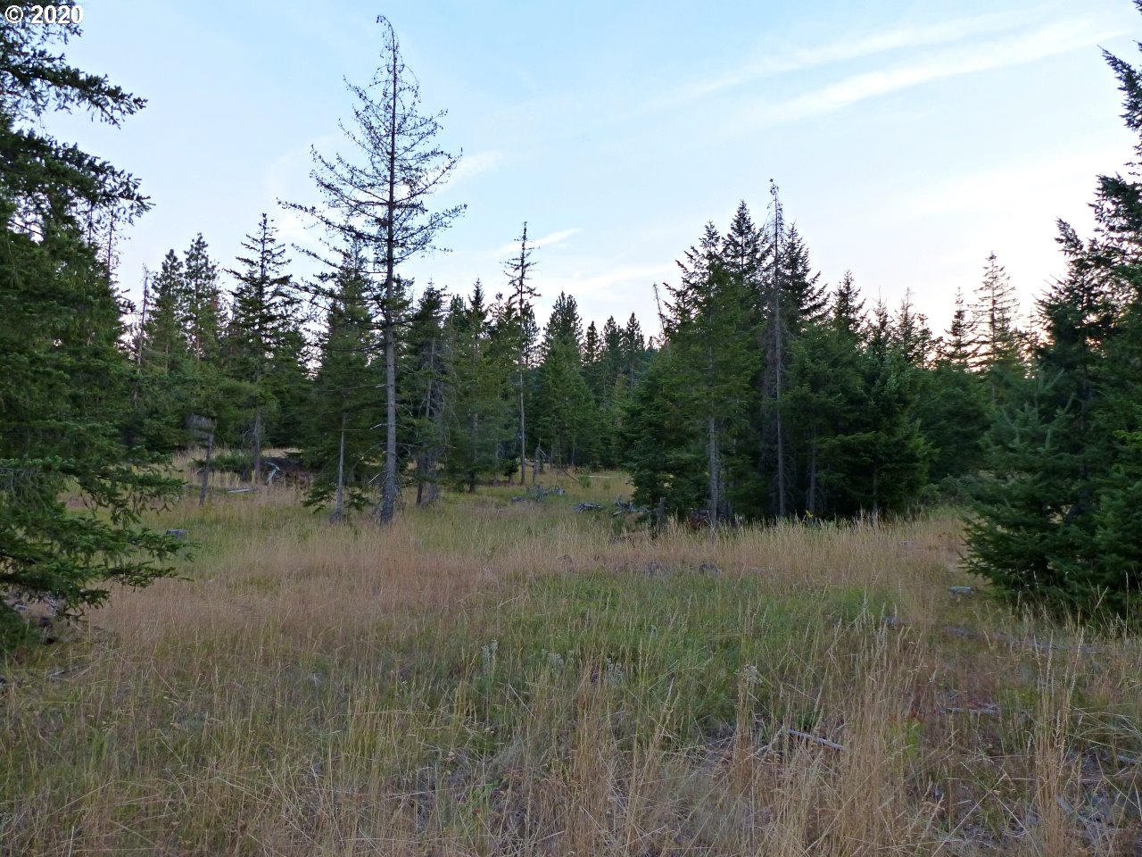 24 Lava Road Trout Lake, WA 98650 - Photo 18 of 18 Gallery Image 18