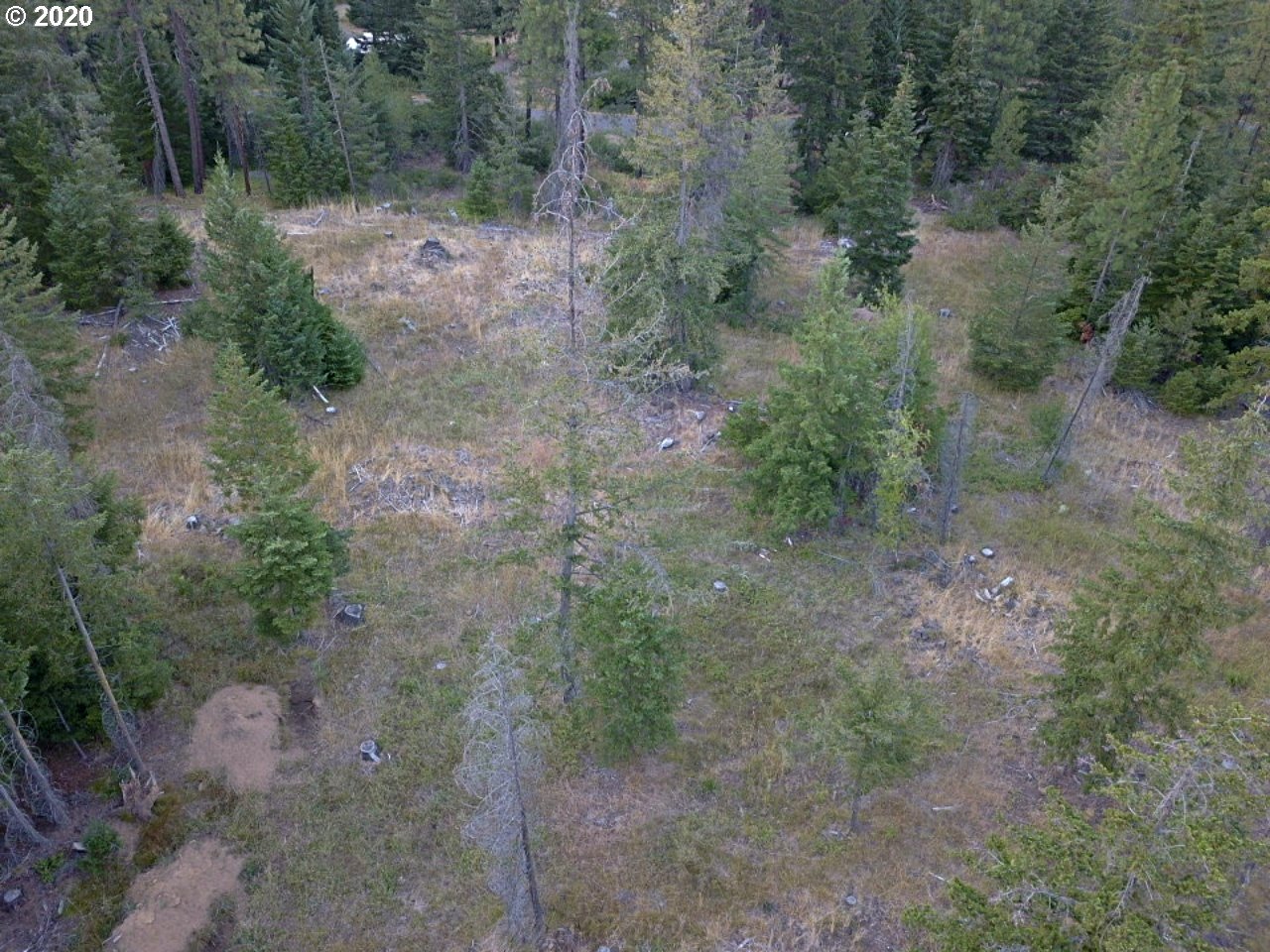 24 Lava Road Trout Lake, WA 98650 - Photo 4 of 18 Gallery Image 4