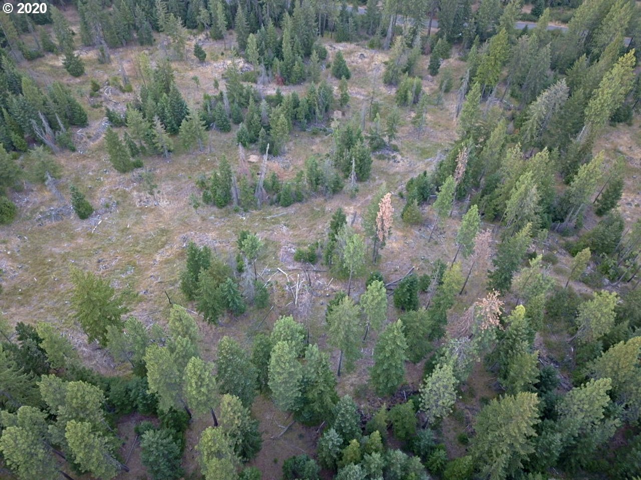 24 Lava Road Trout Lake, WA 98650 - Photo 5 of 18 Gallery Image 5