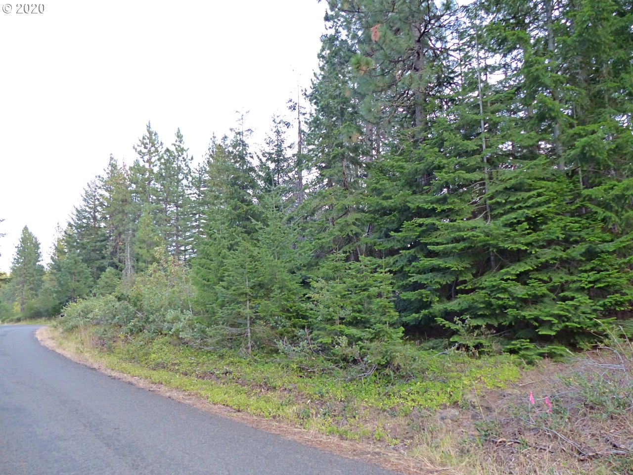 24 Lava Road Trout Lake, WA 98650 - Photo 7 of 18 Gallery Image 7