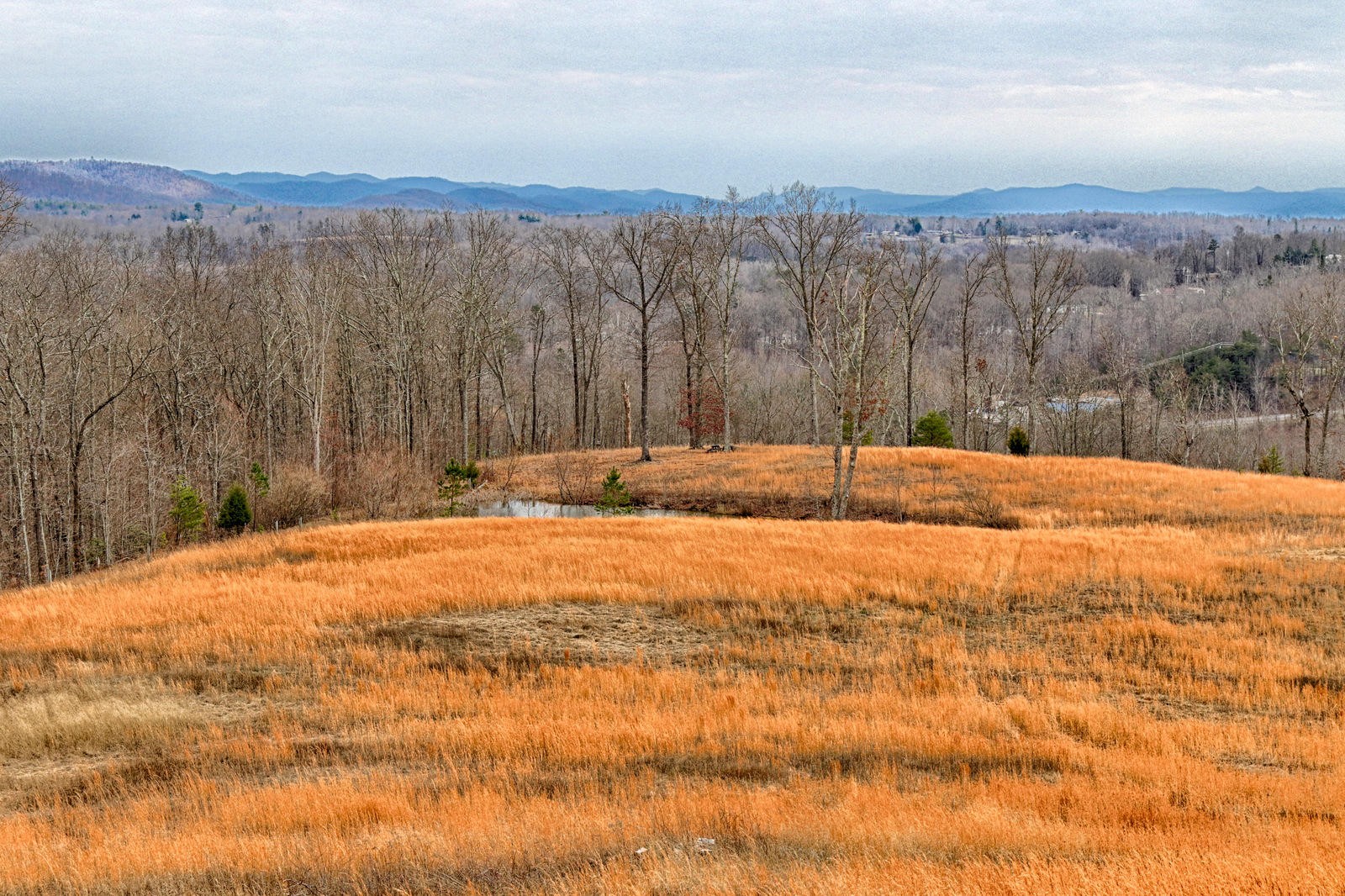 1240 Grape Rough Road Oneida, TN 37841 - Photo 8 of 40 Gallery Image 8