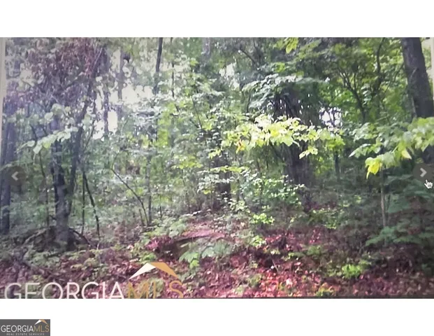 $10,500 | 0 Turtle Cove Throughway, Monticello, GA 31064