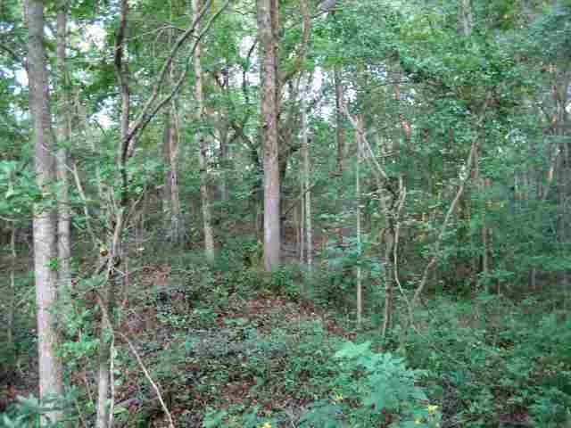 ? West Oakhill Road Belton, SC 29627 - Photo 2 of 8