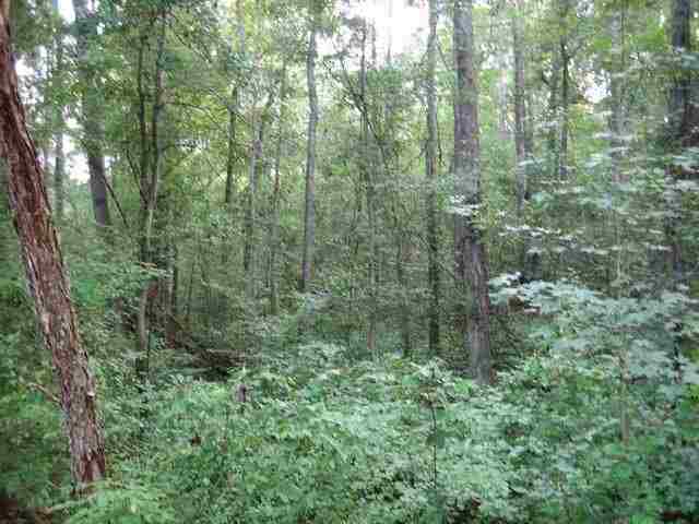 ? West Oakhill Road Belton, SC 29627 - Photo 5 of 8