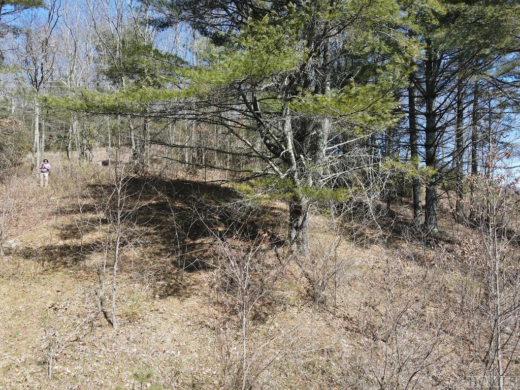 Tbd Pine Creek Road Cullowhee, NC 28723 - Photo 19 of 51 Gallery Image 19