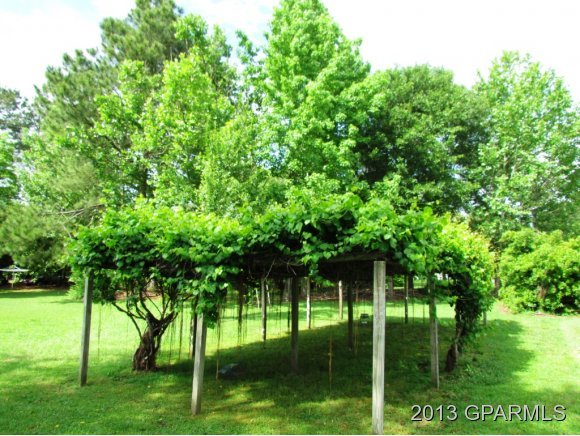 4200 Corey Road Winterville, NC 28590 - Photo 4 of 23 Additional Photo
