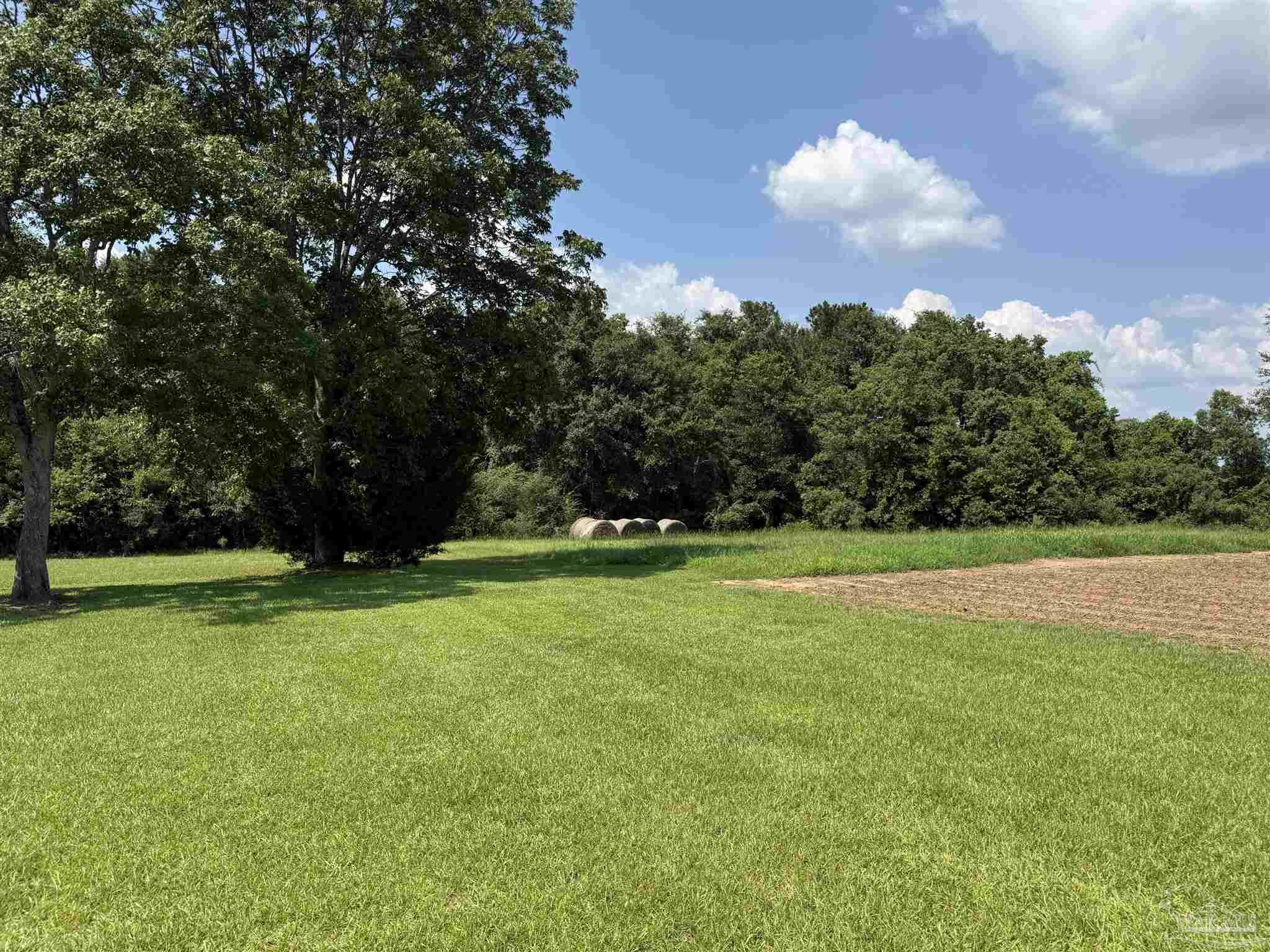 6000 Doran Road McDavid, FL 32568 - Photo 41 of 69
