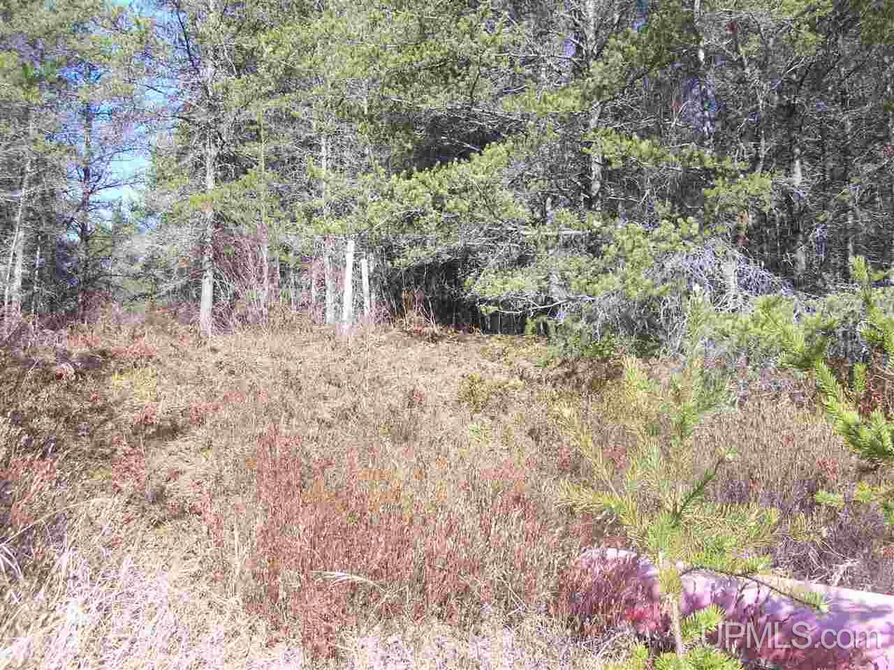 Tbd Off Eg Road Gwinn, MI 49841 - Photo 9 of 11