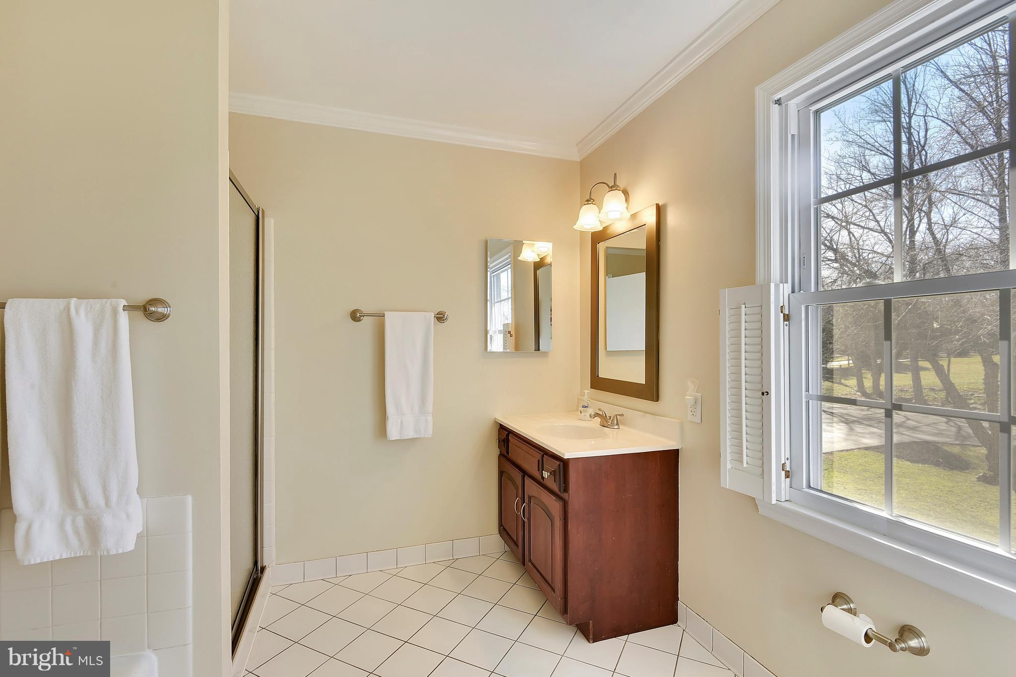 15901 Green Meadow Road North Potomac, MD 20878 - Photo 17 of 30 Master Bathroom
