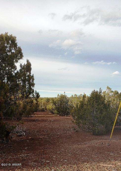 L105 West Acr 8145 Road Concho, AZ 85924 - Photo 3 of 4