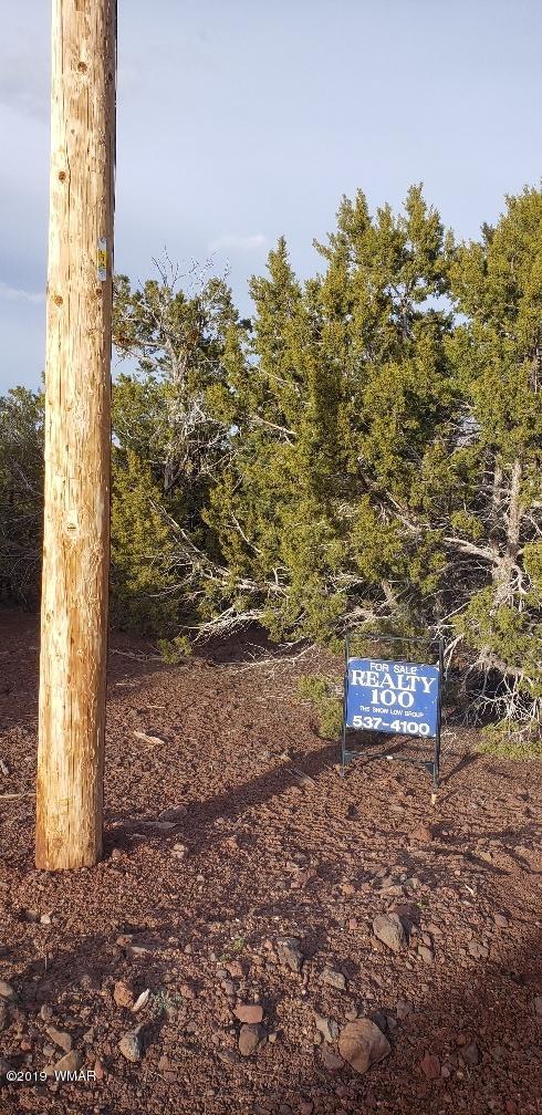 L105 West Acr 8145 Road Concho, AZ 85924 - Photo 4 of 4