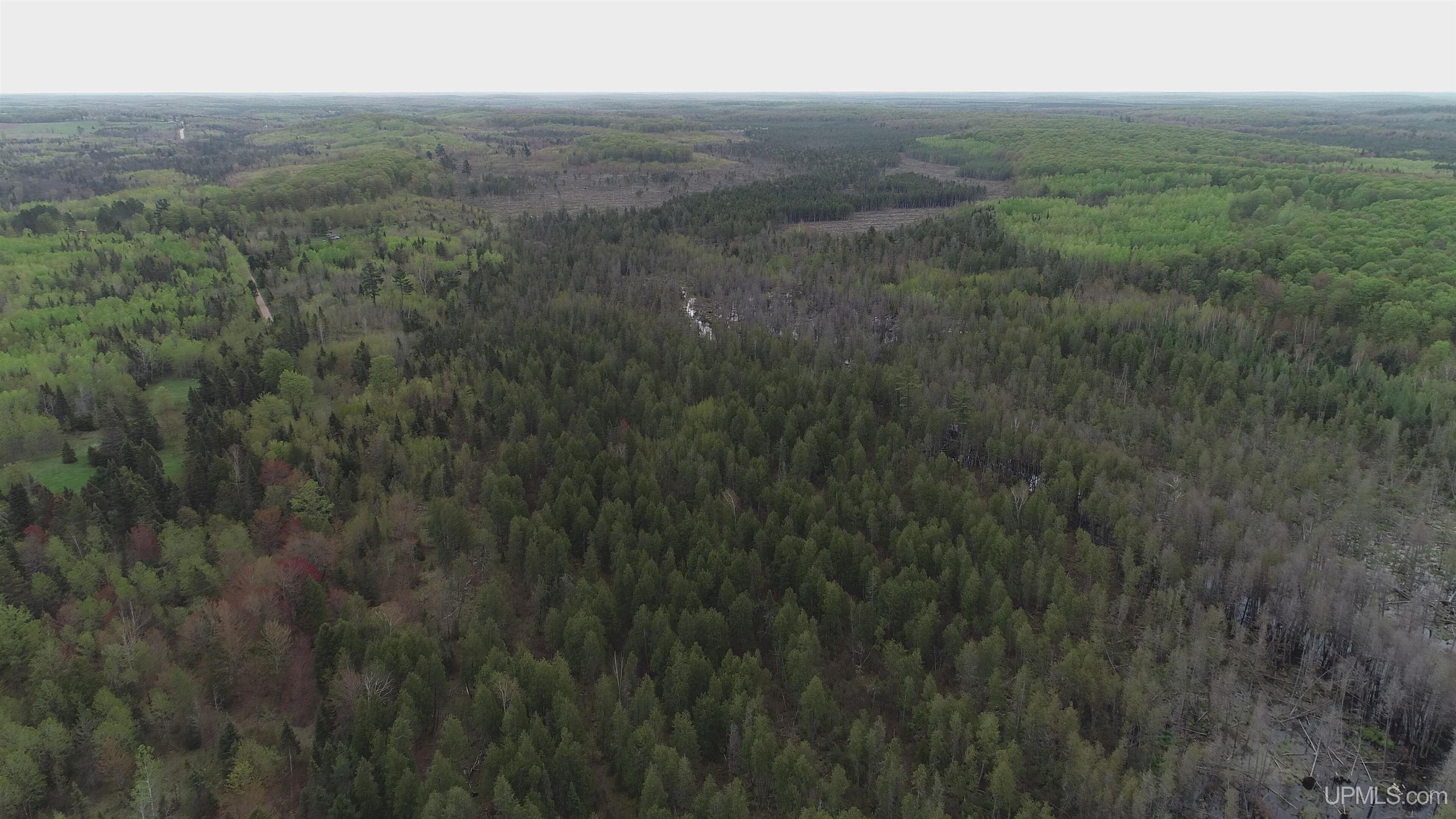 9 Rd Foster City Mi 49834 Road Felch, MI 49831 - Photo 25 of 32