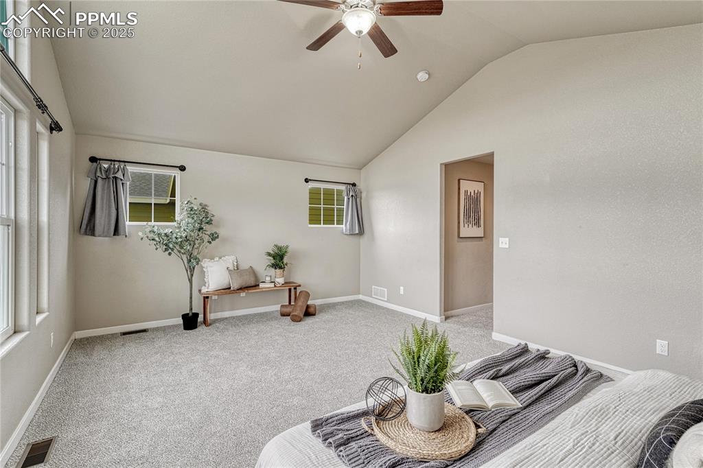 11298 Scenic Brush Drive Peyton, CO 80831 - Photo 19 of 50 a living room with furniture and potted plant