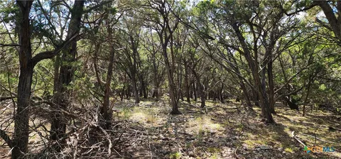 a view of outdoor space and trees