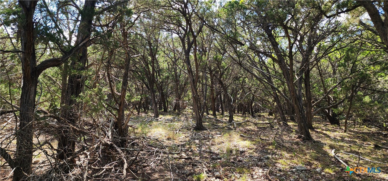 Lot 26 Mountain Creek Road Pipe Creek, TX 78063 - Photo 2 of 15