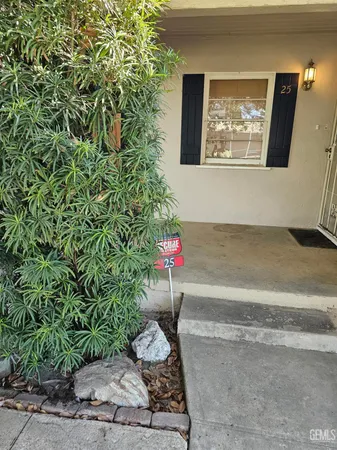 a view of a yard with plants and trees